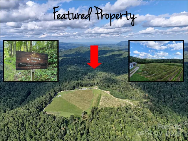 a view of a backyard of a house