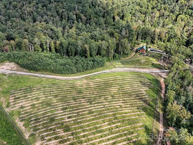 a view of a swimming pool with a yard