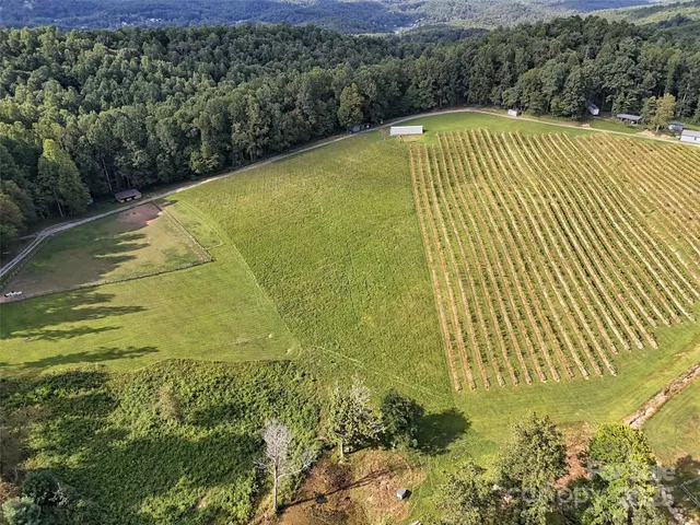a view of a pool in a yard