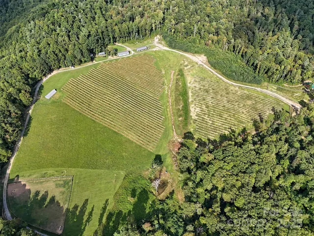 a view of a swimming pool with a yard
