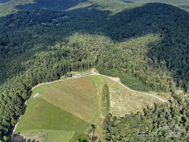 a view of a swimming pool and trees all around