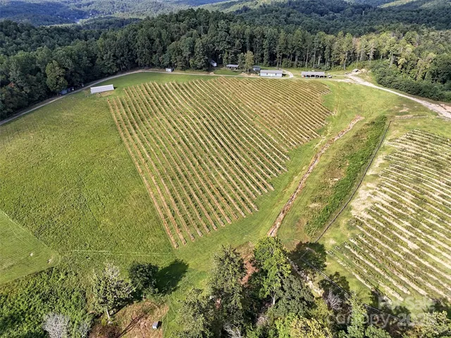 a view of a swimming pool with a yard