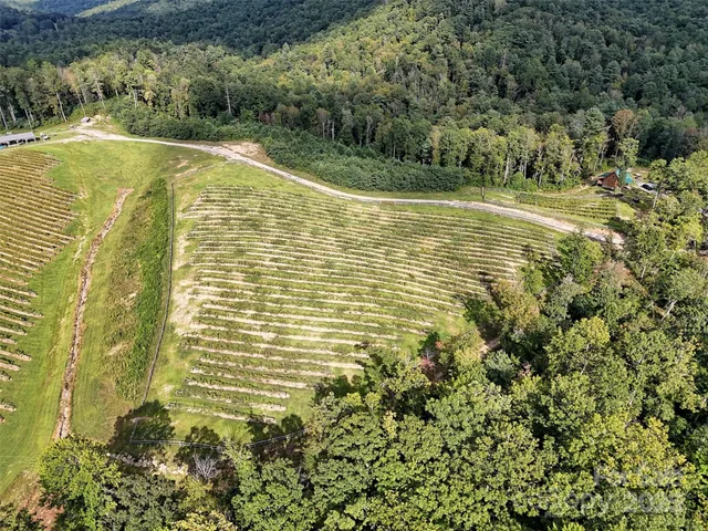 a view of a lush green hillside next to a house