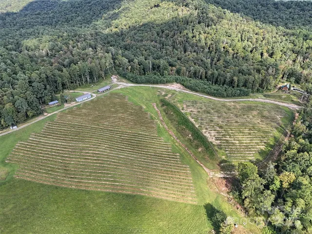 a view of a swimming pool with a yard