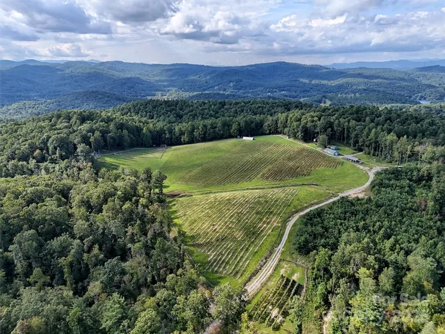 an aerial view of residential house with outdoor space and trees all around