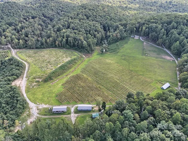 a view of a lake with a city