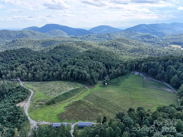 a view of a dry yard with green space and mountain view