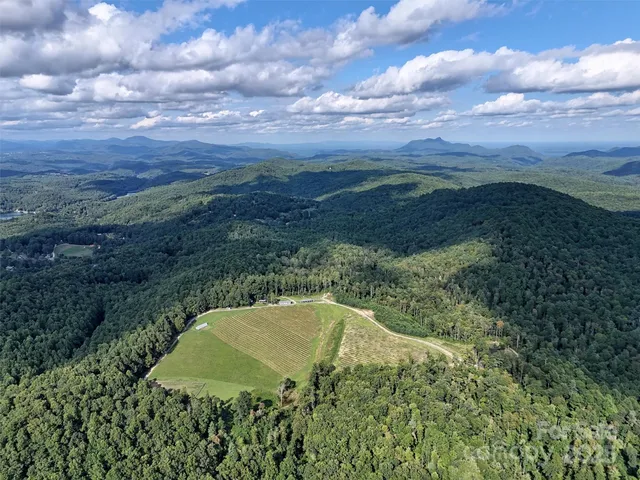 $3,895,000 | 781 Payne Drive, Zirconia, NC 28790