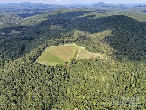 $3,870,000 | 781 Payne Drive, Zirconia, NC 28790