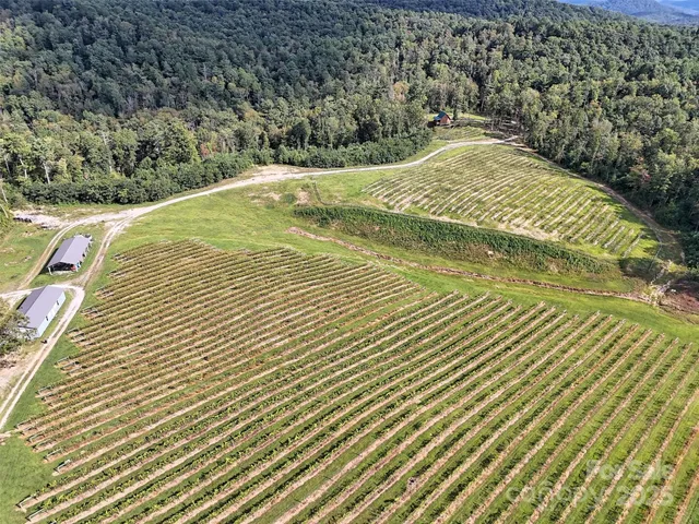 a view of a lake with a yard