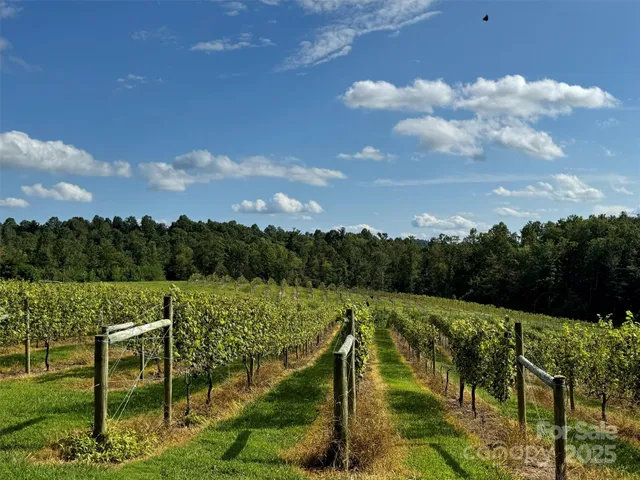 a view of a grassy area with an trees