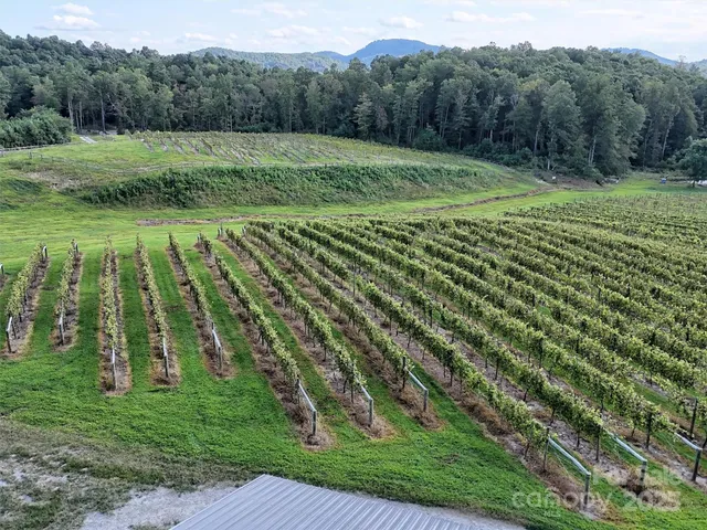a view of a golf course with a lake