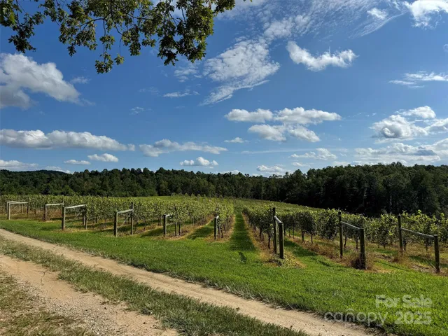 a view of an outdoor space and yard