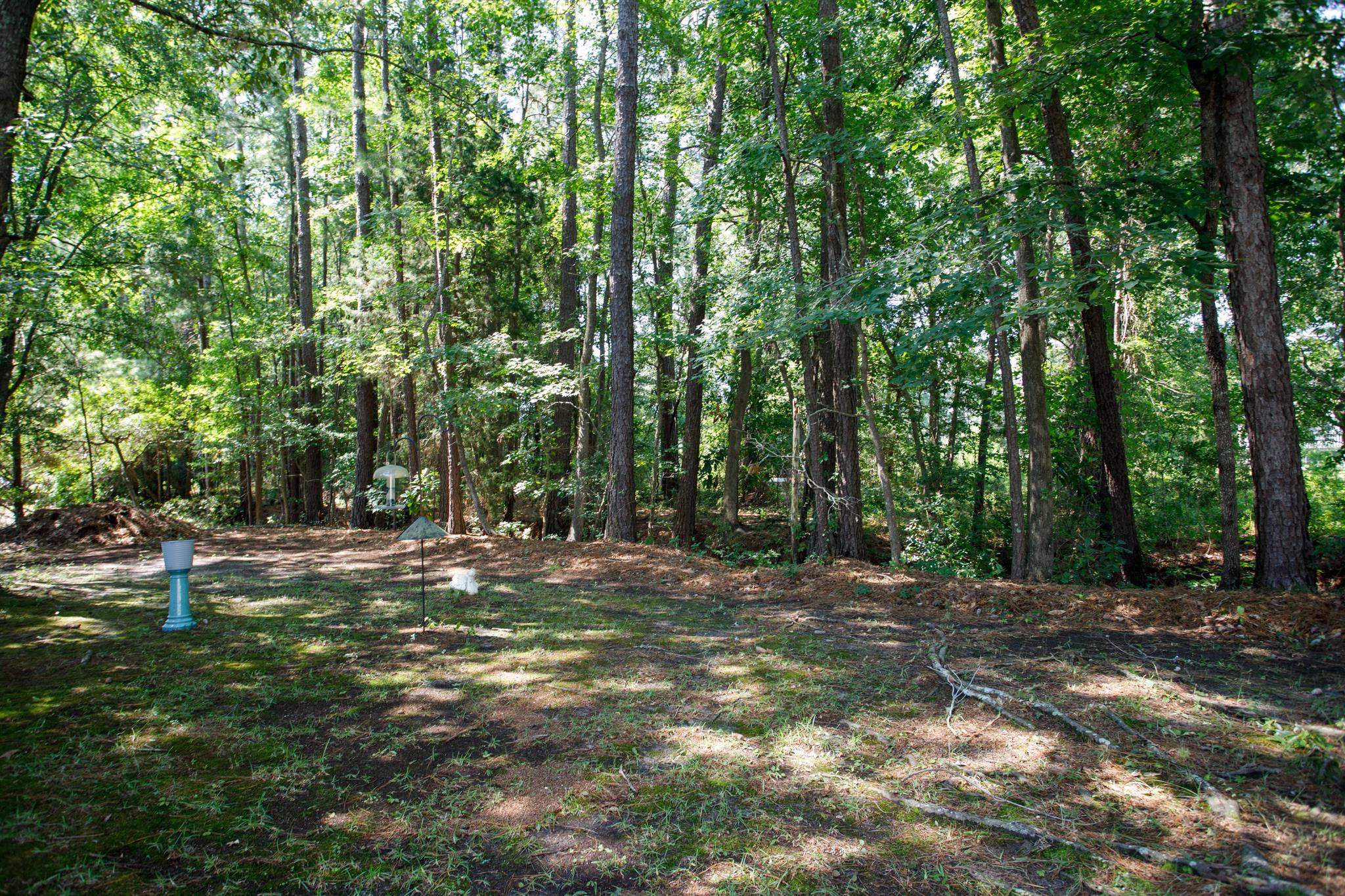 6624 Wintergreen Point Myrtle Beach, SC 29588 - Photo 27 of 31 Gallery Image 27
