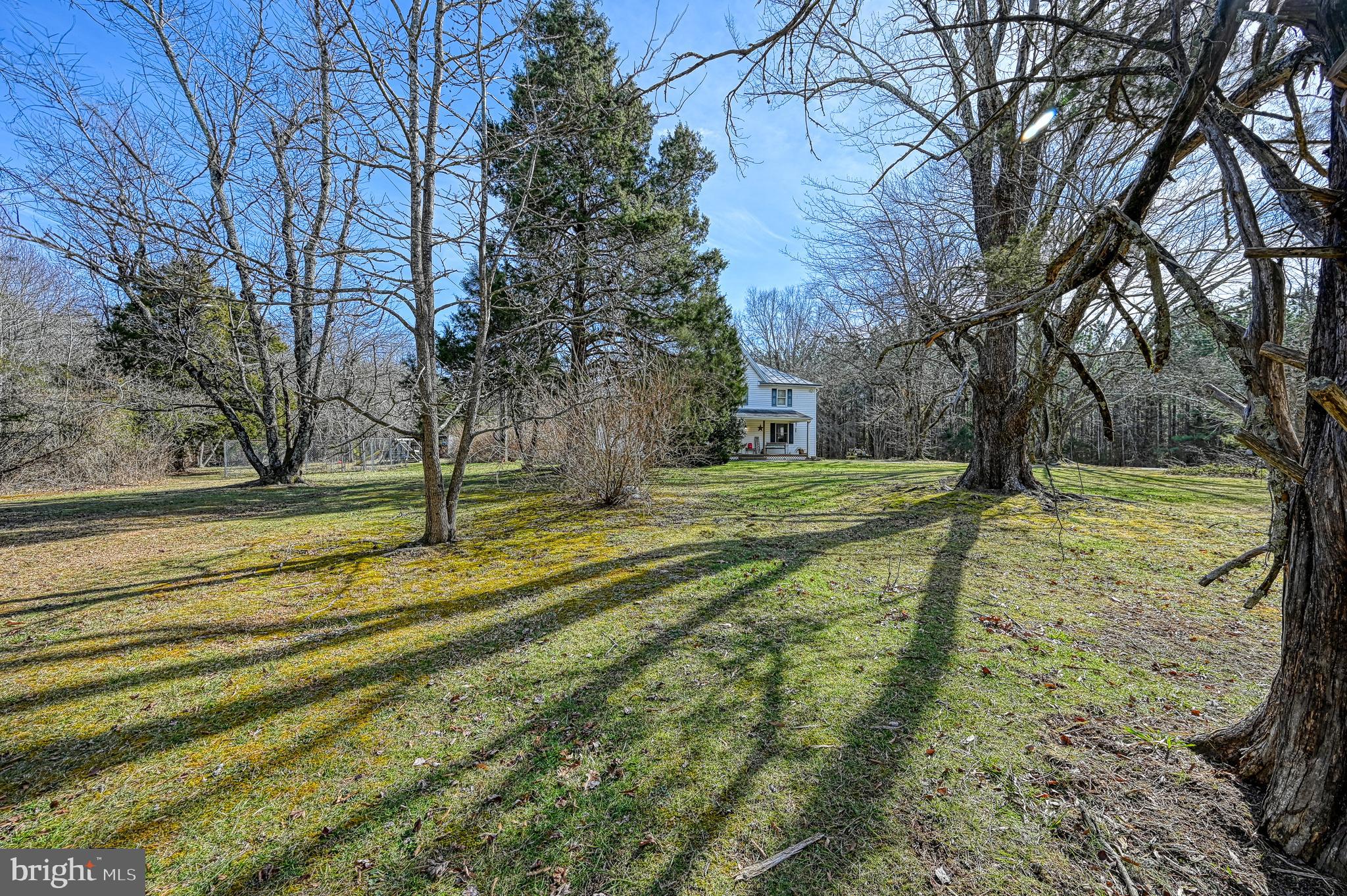 3492 Roundabout Road Louisa, VA 23093 - Photo 5 of 35 a view of yard with large trees