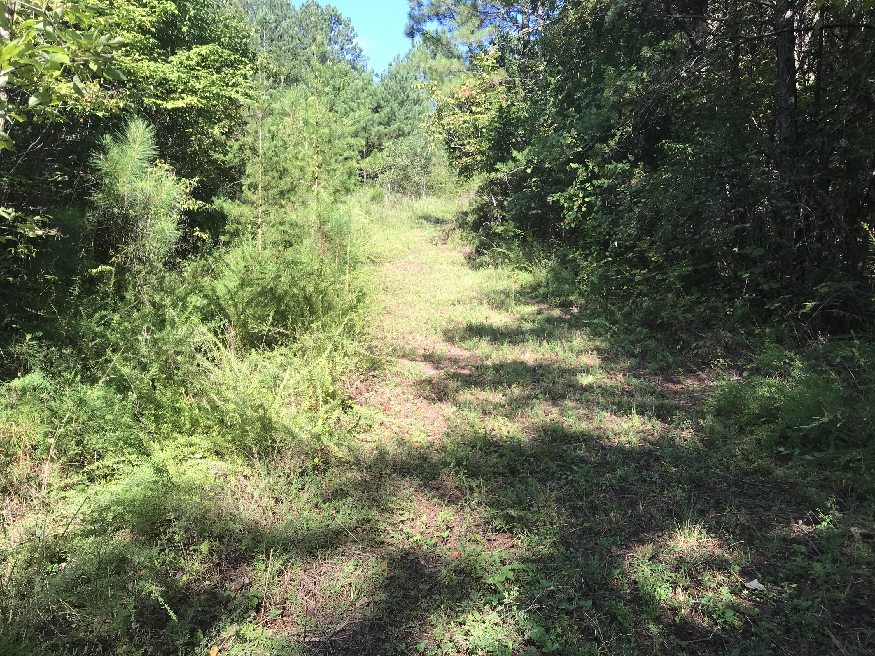 39.9 Boiling Springs Road Vonore, TN 37885 - Photo 1 of 11 3 Point Rd Pic 1