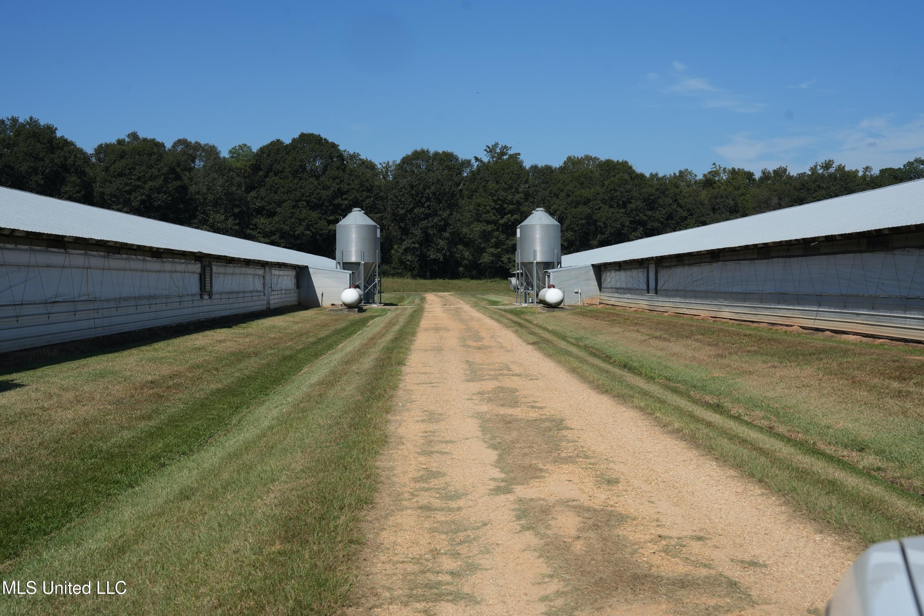 8001 West West Topisaw Rd Summit Summit, MS 39666 - Photo 24 of 31 DSC09268