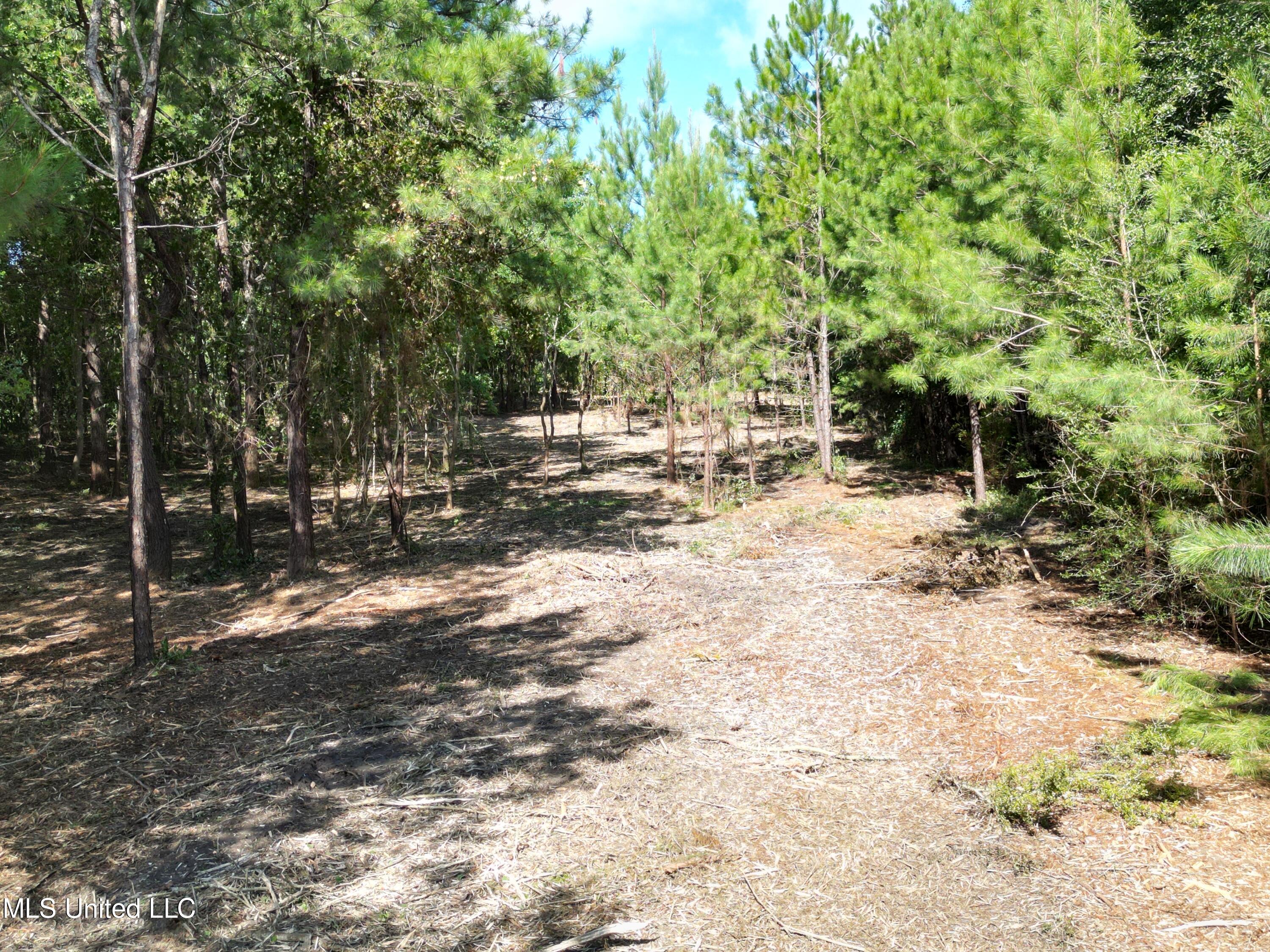 6065 Roosevelt Necaise Road Kiln, MS 39556 - Photo 1 of 5 Lot 4,3,2