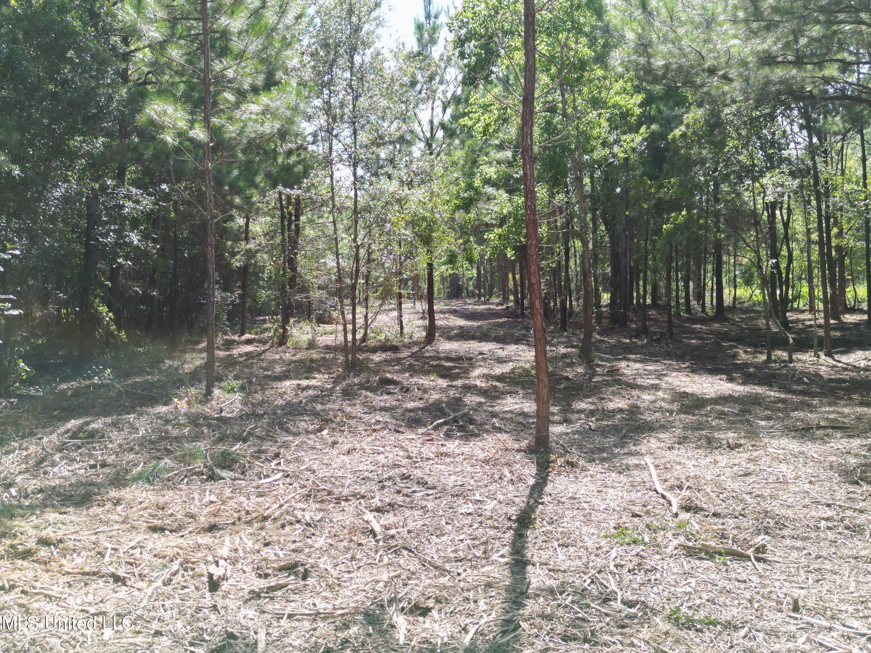 6065 Roosevelt Necaise Road Kiln, MS 39556 - Photo 3 of 5 Lot1, 2,3