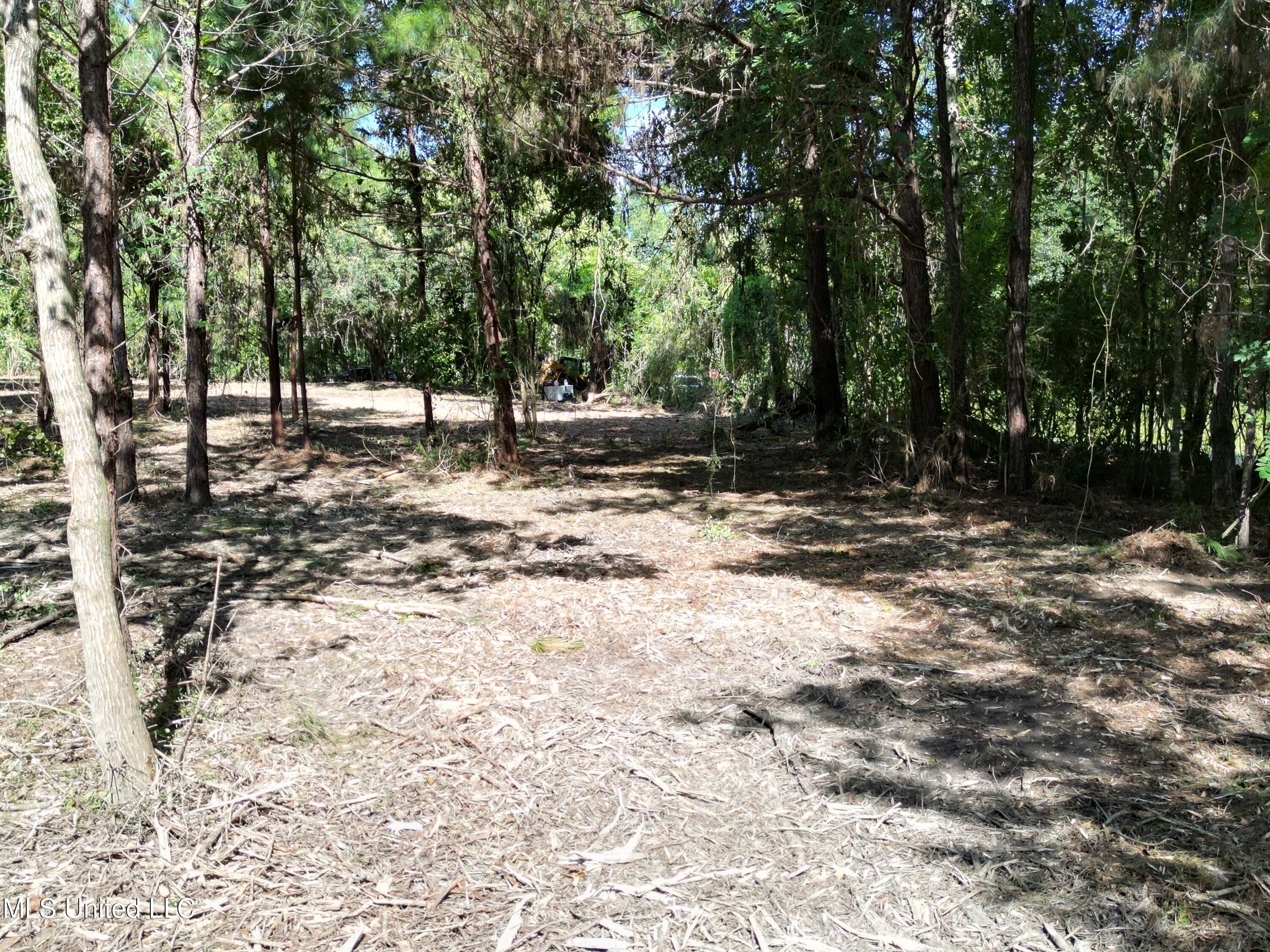 6065 Roosevelt Necaise Road Kiln, MS 39556 - Photo 4 of 5 Lot 1, 2