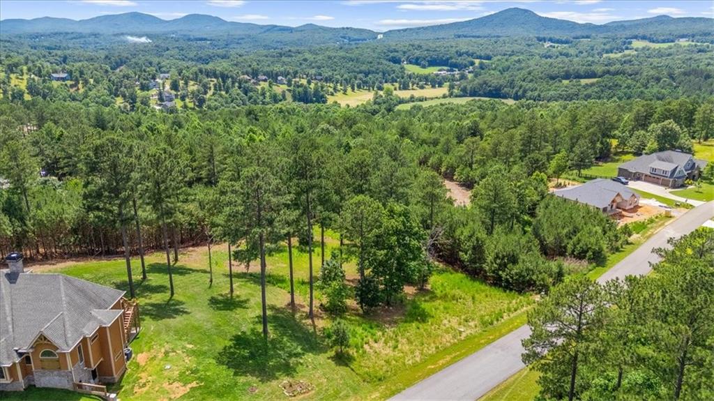 276 Ridge Pointe Way Blairsville, GA 30512 - Photo 7 of 15 a view of a lush green hillside and a houses