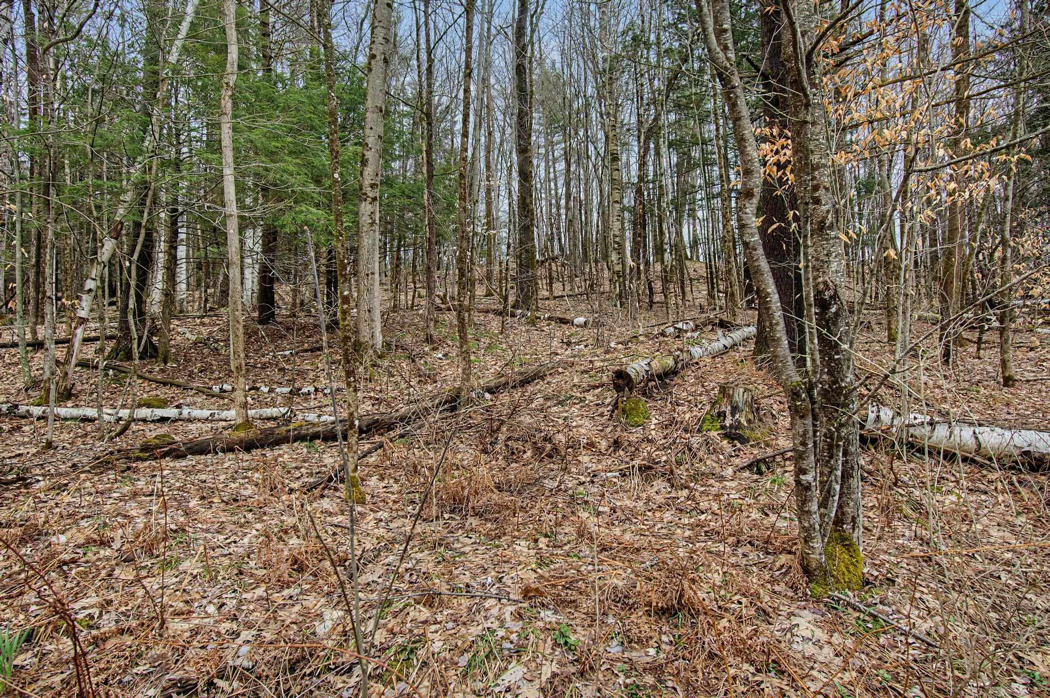 150 The Hill Road Fletcher, VT 05444 - Photo 31 of 34