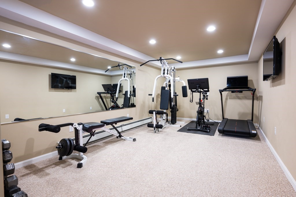 6 Old Meadow Lane Canton, MA 02021 - Photo 24 of 35 a view of a room with gym equipment