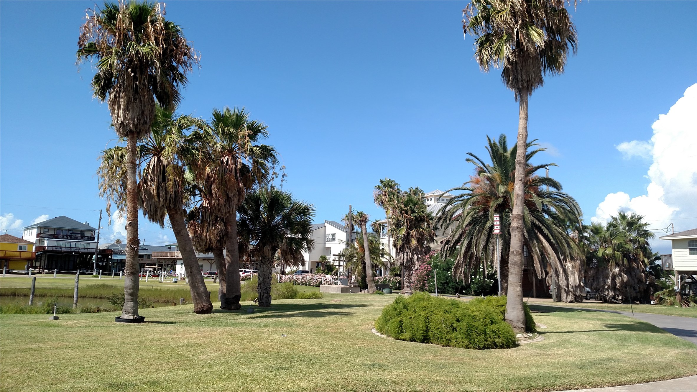 0 Anchor Drive Freeport, TX 77541 - Photo 7 of 9 a palm tree sitting in front of a house with a yard