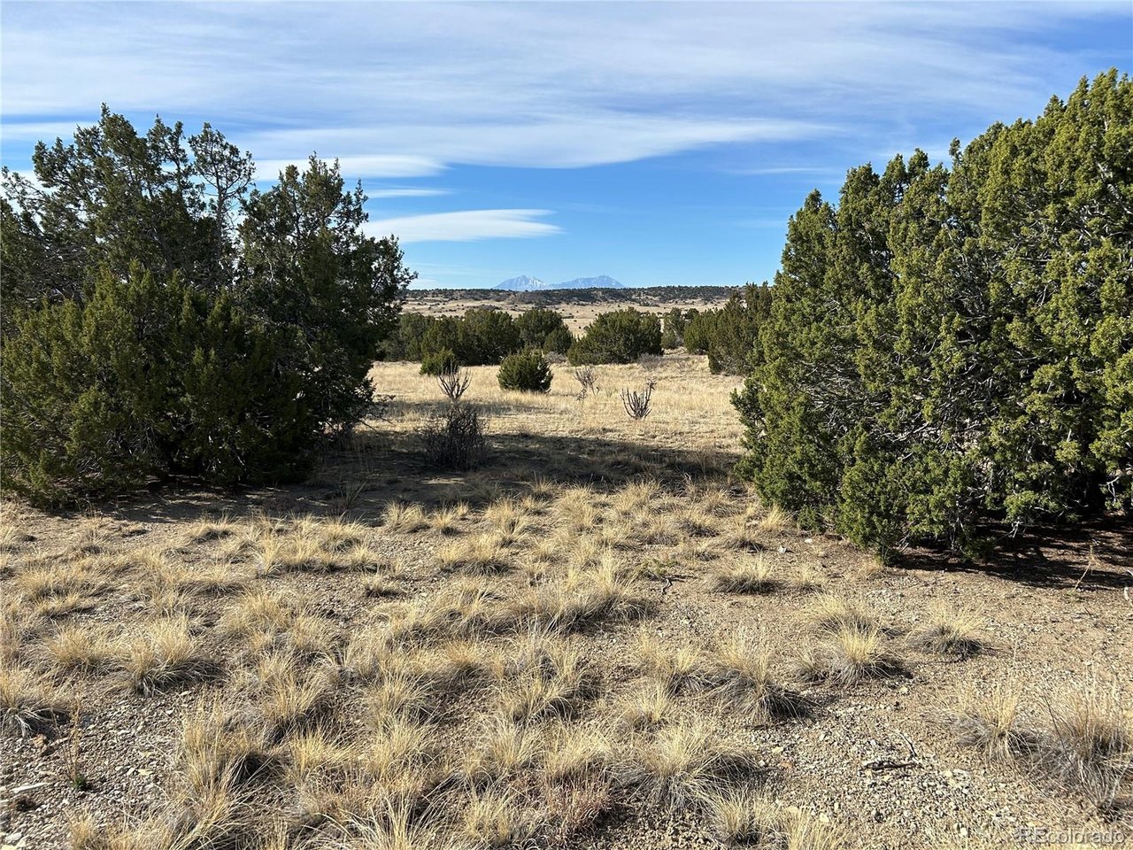 122 Ghost River Ranch Rye, CO 81069 - Photo 15 of 21