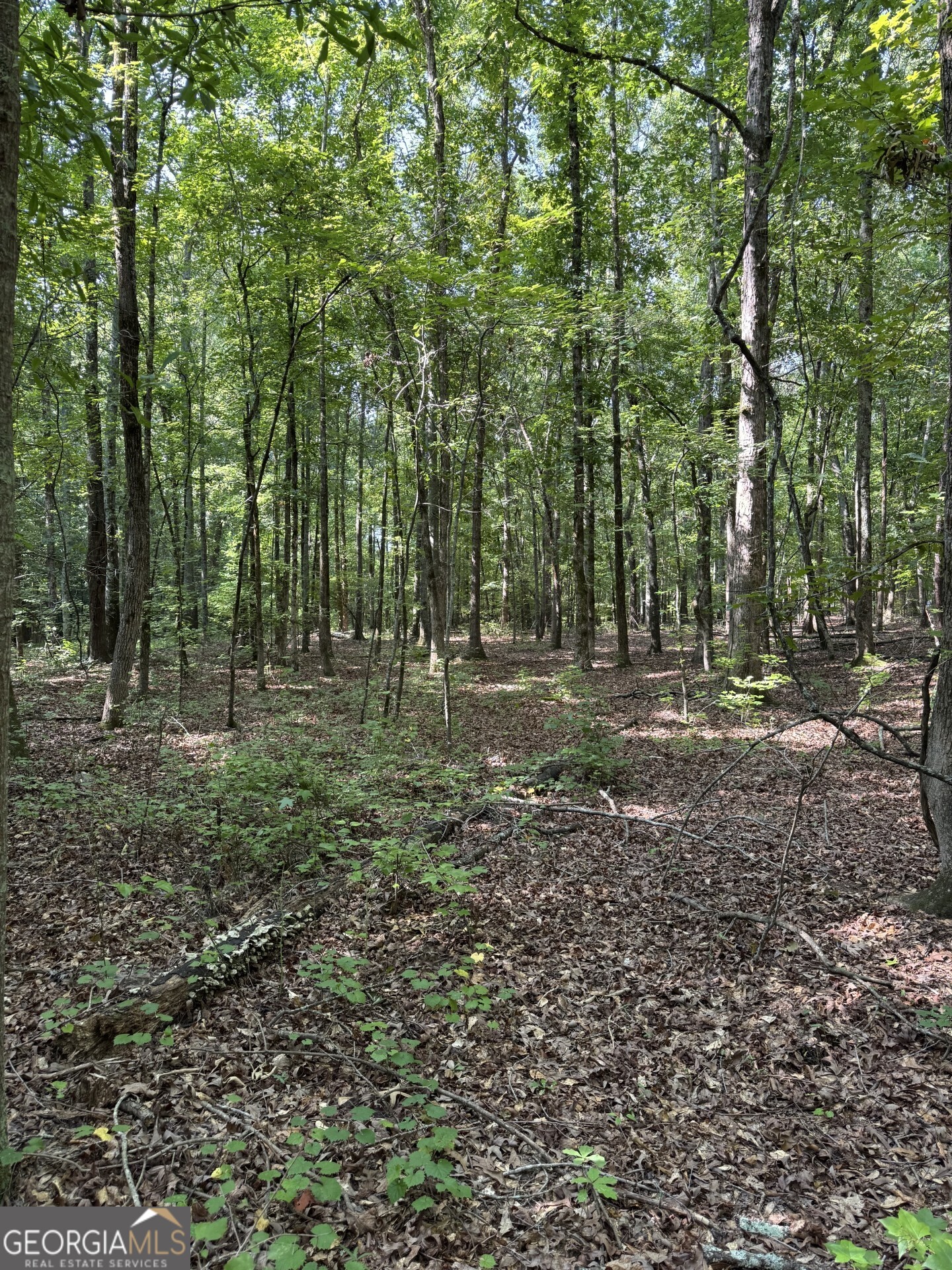0 Beaverdam Road Winterville, GA 30683 - Photo 1 of 1 Gallery Image 1