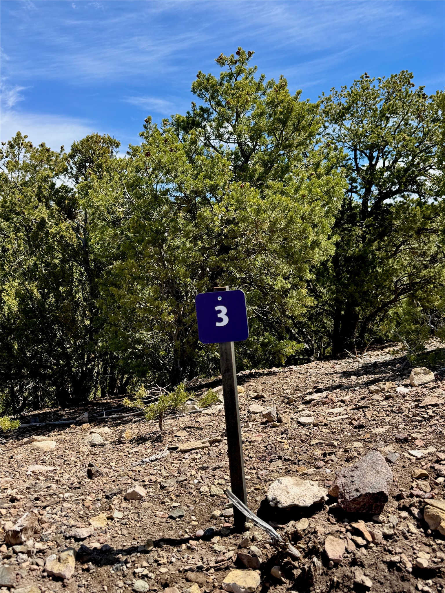 1083 South Summit Ridge, Unit LOT 3 Santa Fe, NM 87501 - Photo 22 of 70