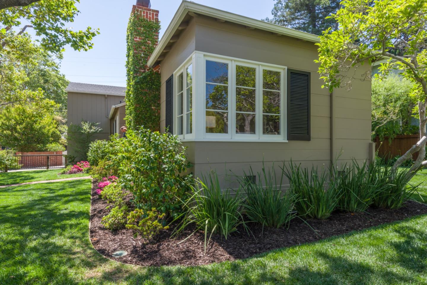 1000 Harvard Road San Mateo, CA 94402 - Photo 30 of 32 a view of a backyard with plants and large trees