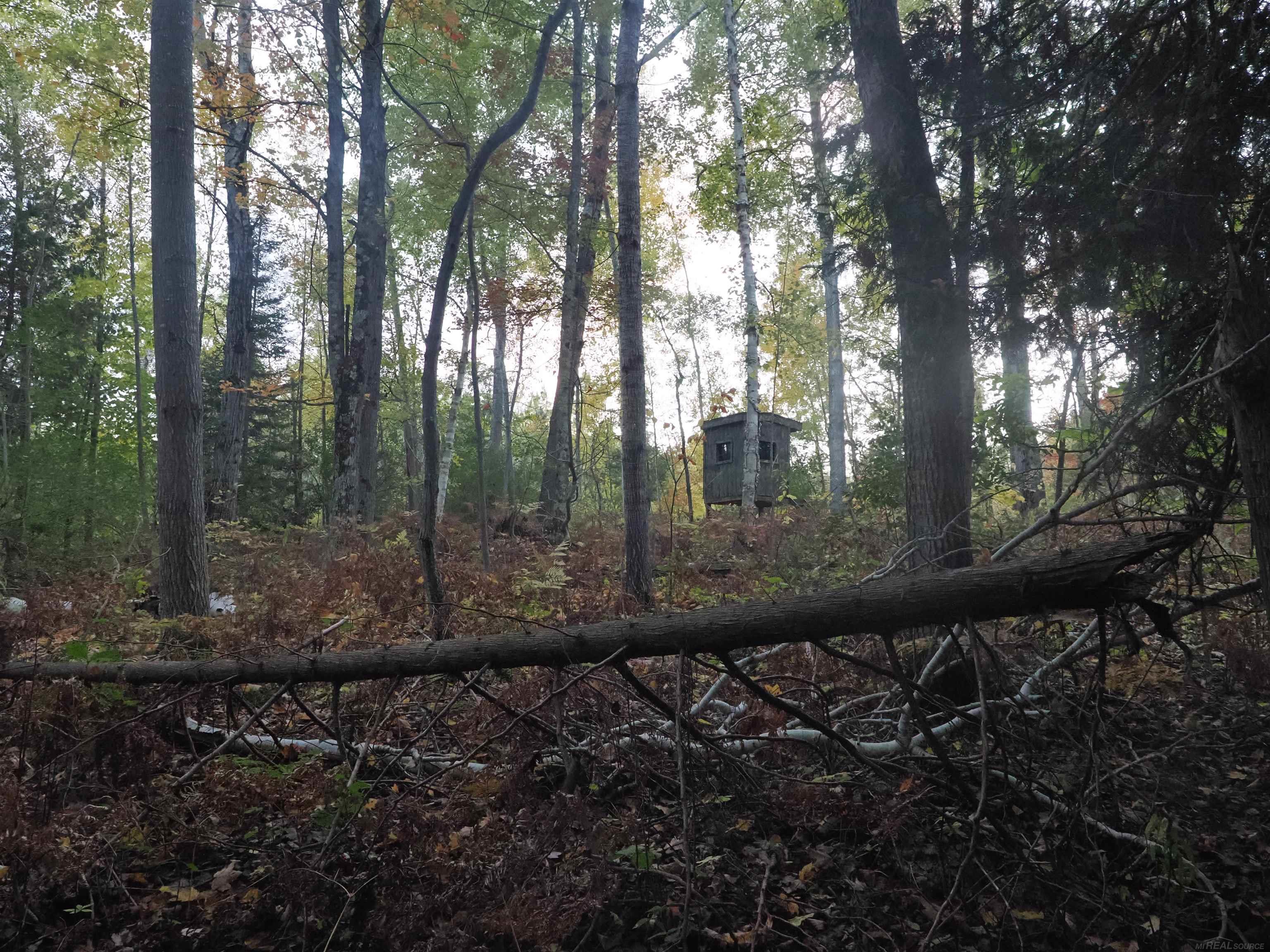Xxx Tolan Road Spruce, MI 48762 - Photo 75 of 79