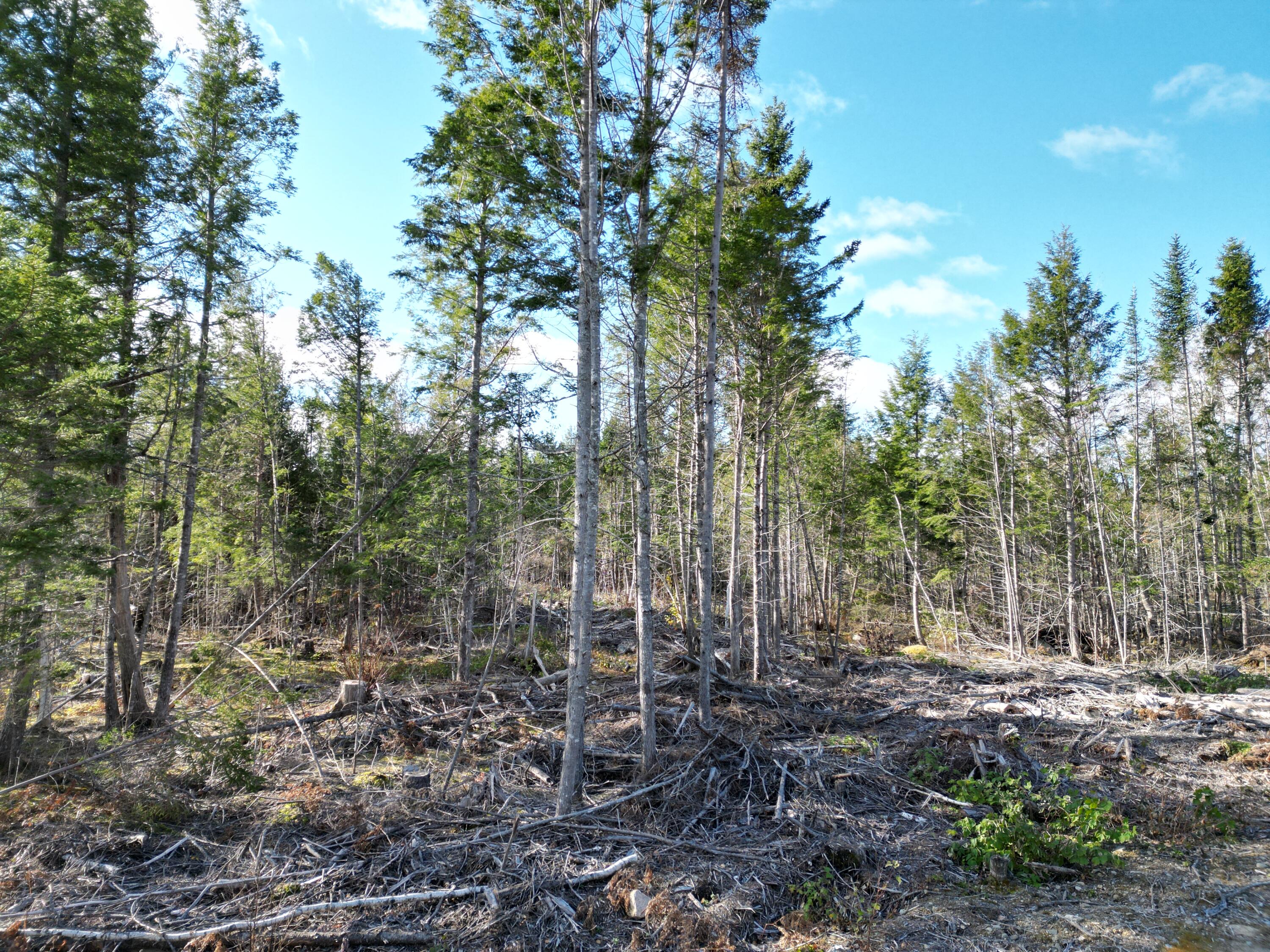 Off Medway Road Mattawamkeag, ME 04459 - Photo 1 of 21 DJI_0265