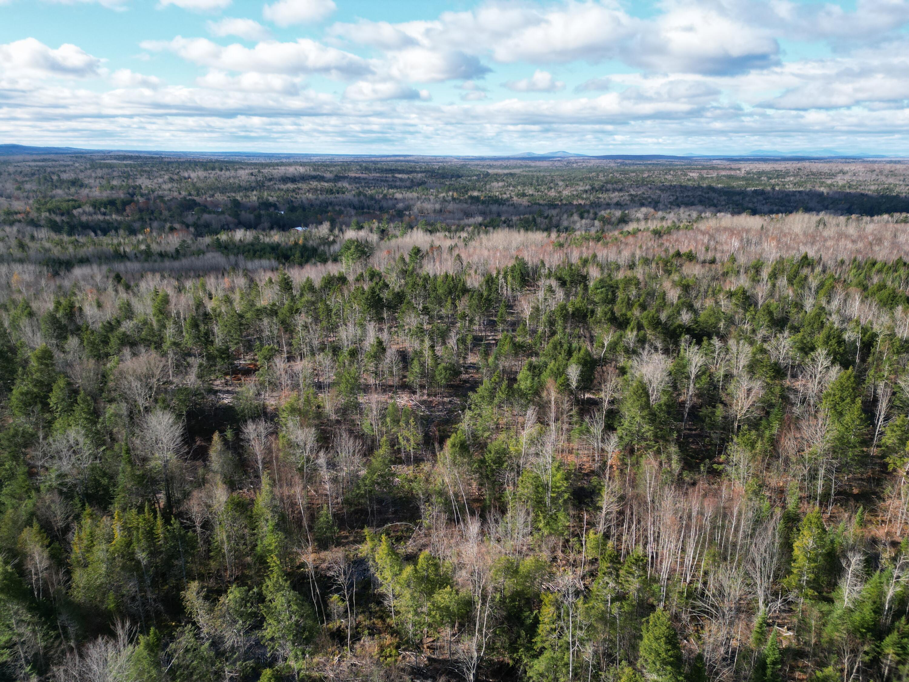 Off Medway Road Mattawamkeag, ME 04459 - Photo 12 of 21 DJI_0270