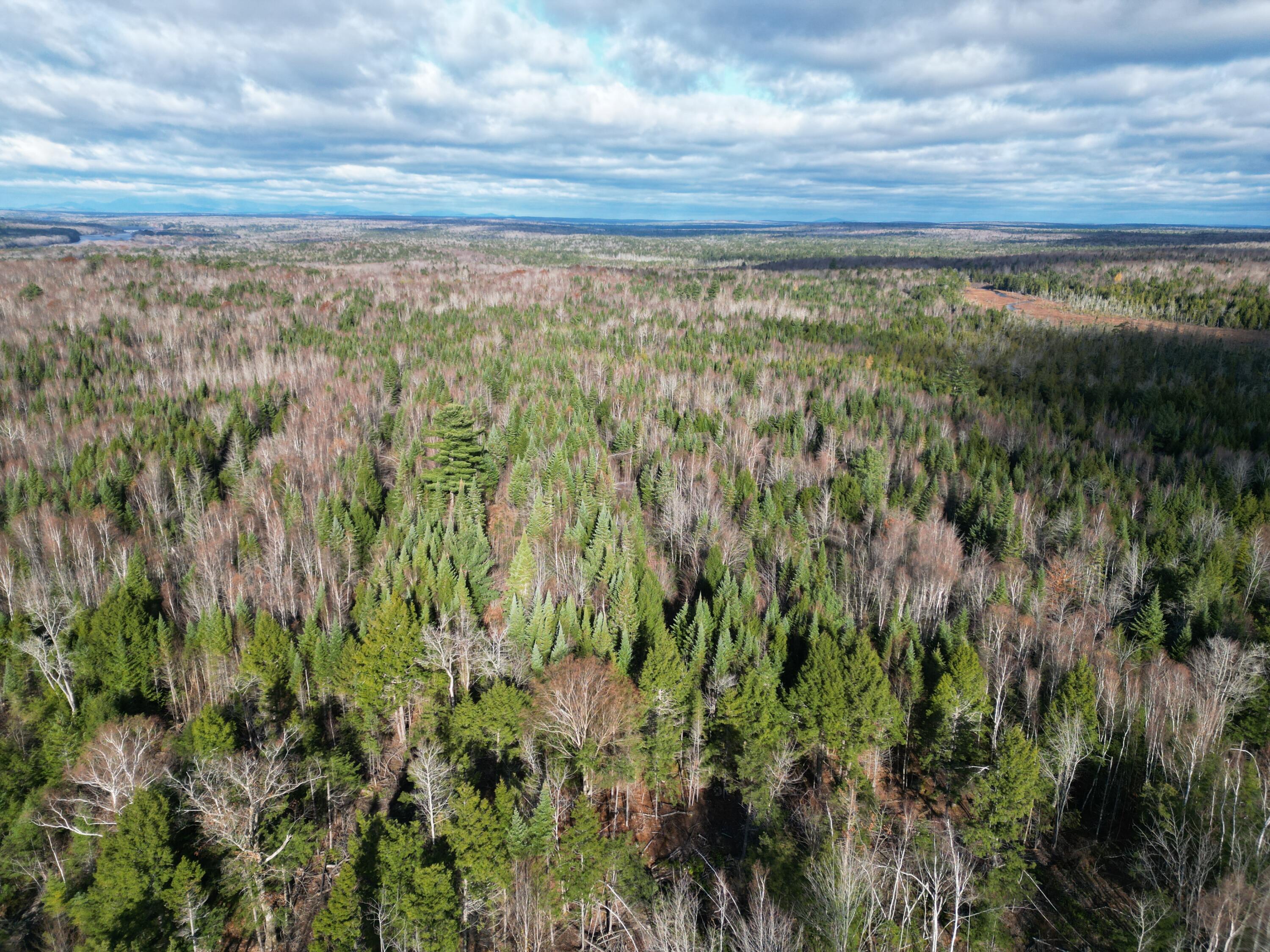 Off Medway Road Mattawamkeag, ME 04459 - Photo 13 of 21 DJI_0271