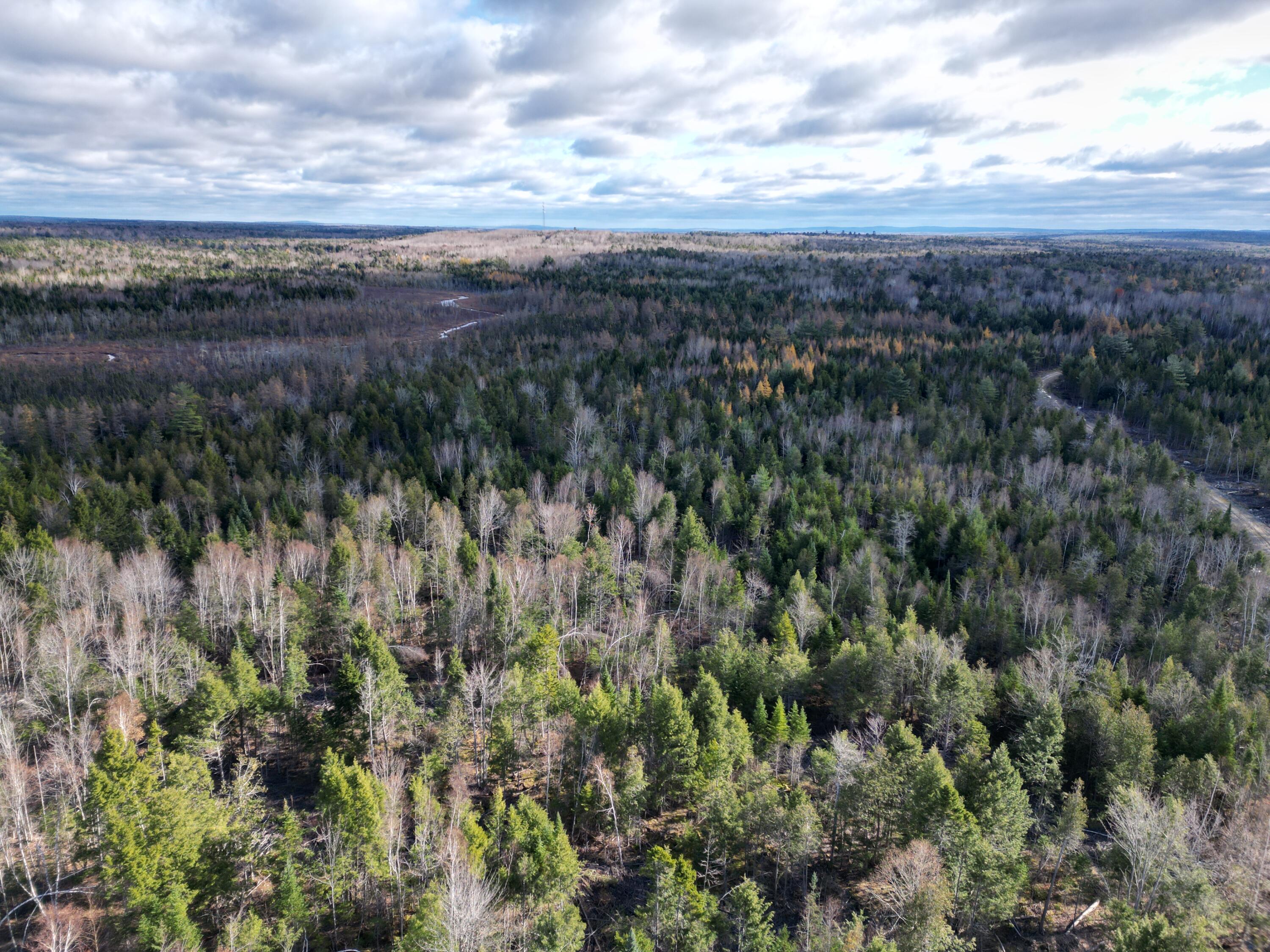 Off Medway Road Mattawamkeag, ME 04459 - Photo 14 of 21 DJI_0272