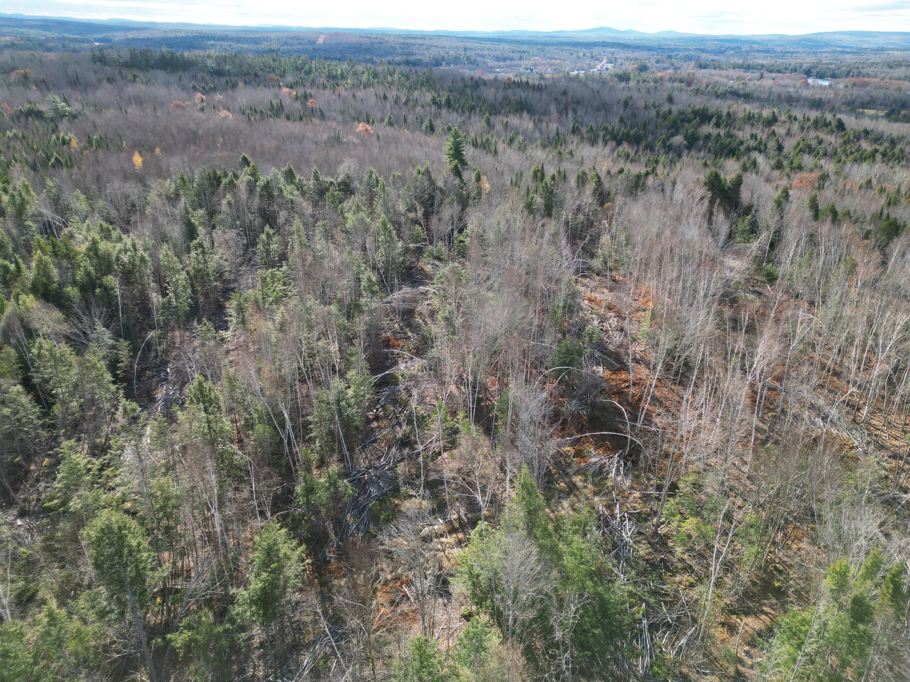 Off Medway Road Mattawamkeag, ME 04459 - Photo 15 of 21 DJI_0273