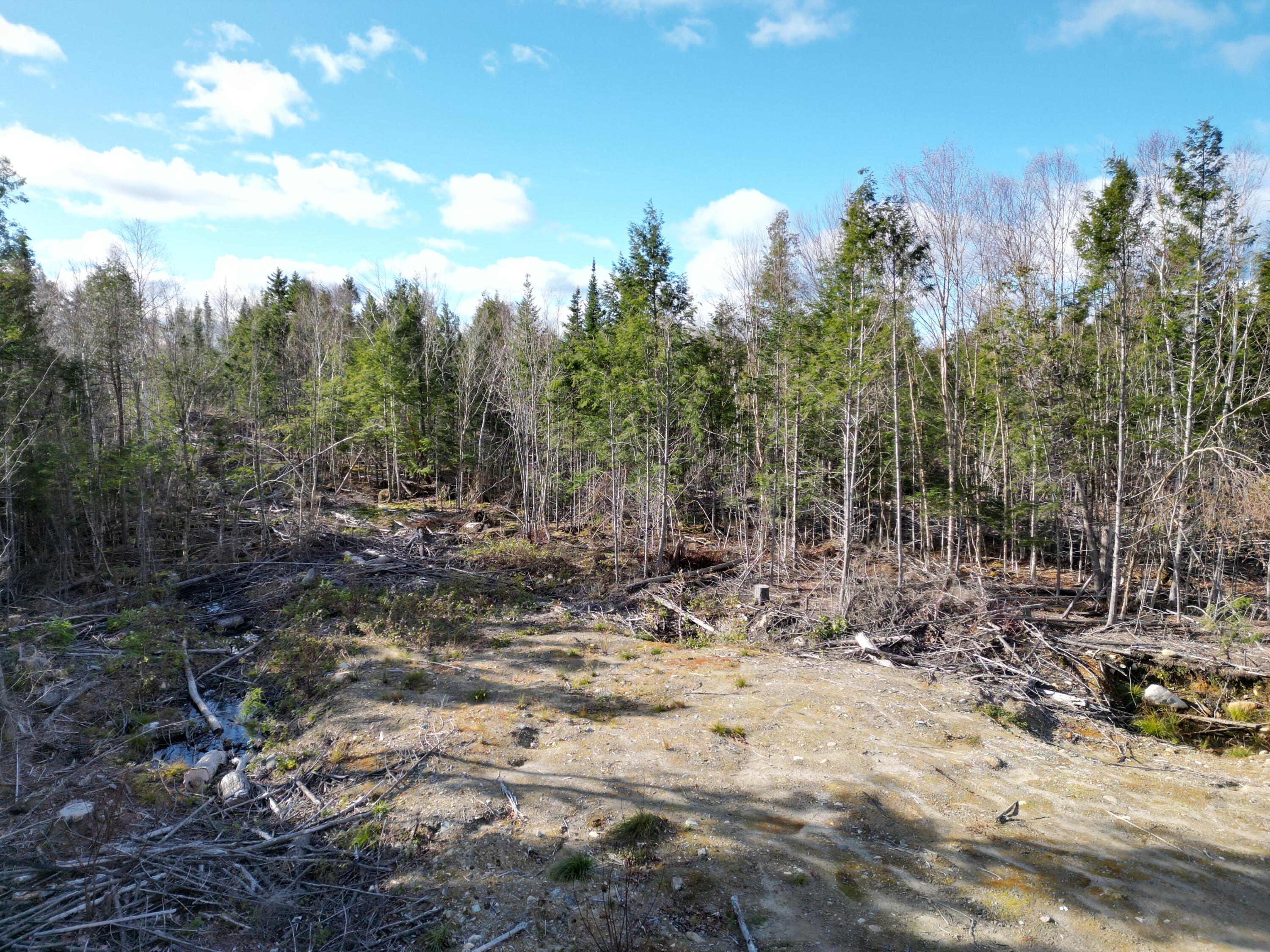 Off Medway Road Mattawamkeag, ME 04459 - Photo 17 of 21 DJI_0275