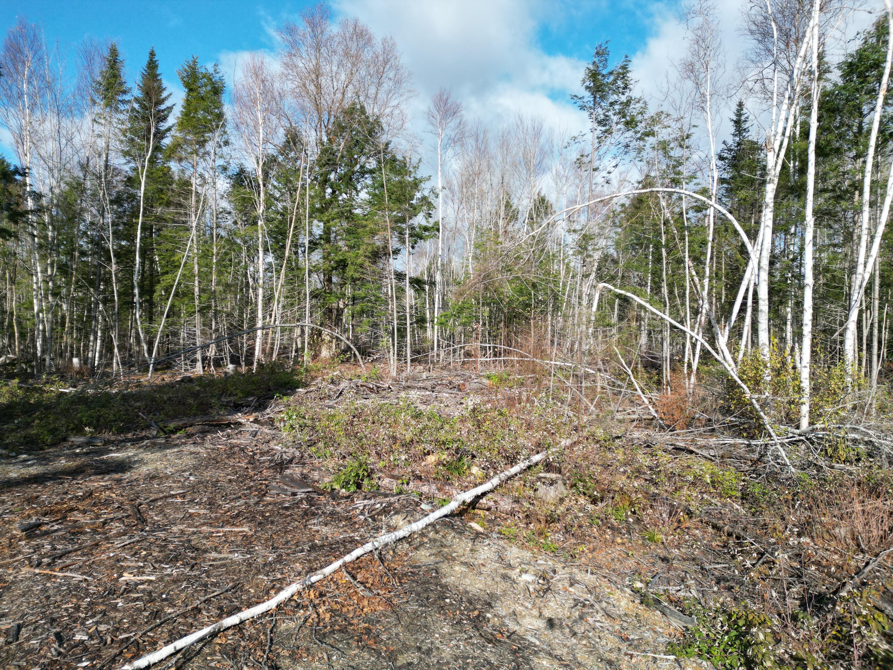Off Medway Road Mattawamkeag, ME 04459 - Photo 18 of 21 DJI_0276