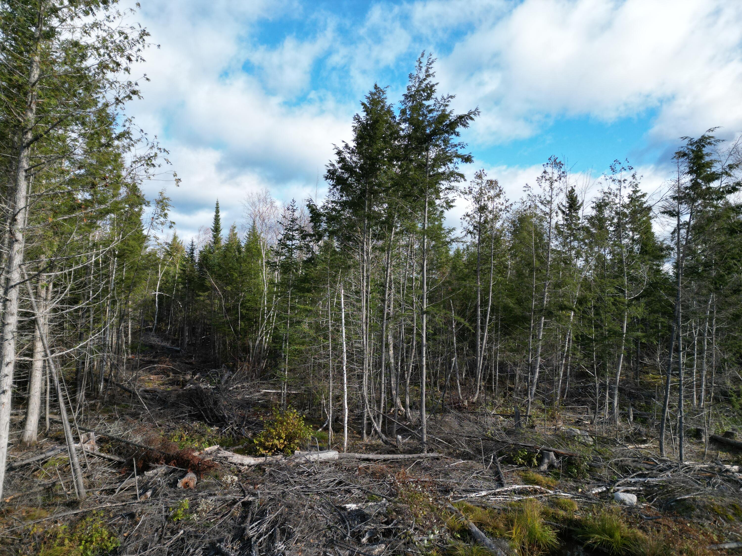Off Medway Road Mattawamkeag, ME 04459 - Photo 20 of 21 DJI_0278