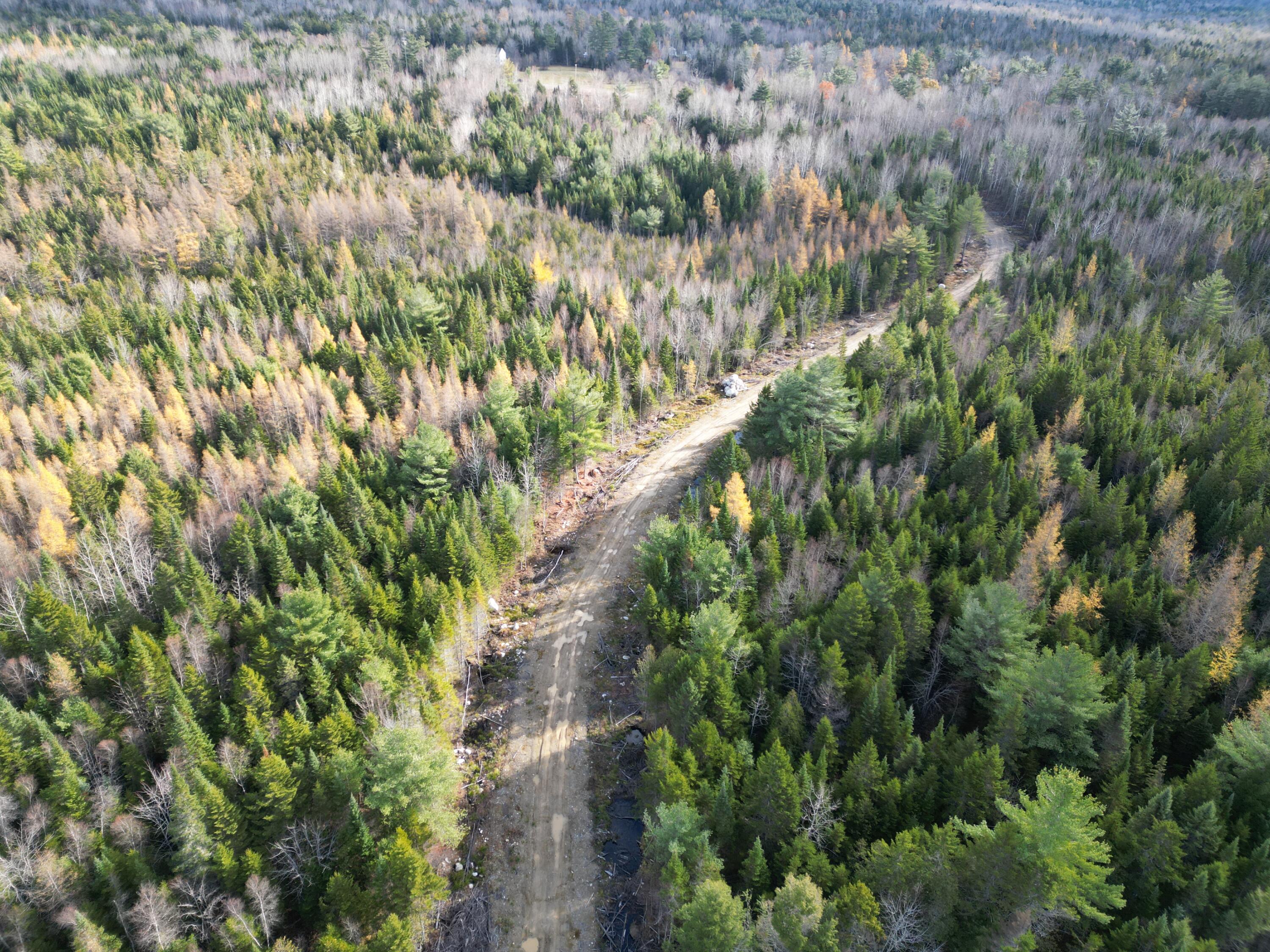 Off Medway Road Mattawamkeag, ME 04459 - Photo 21 of 21 DJI_0279