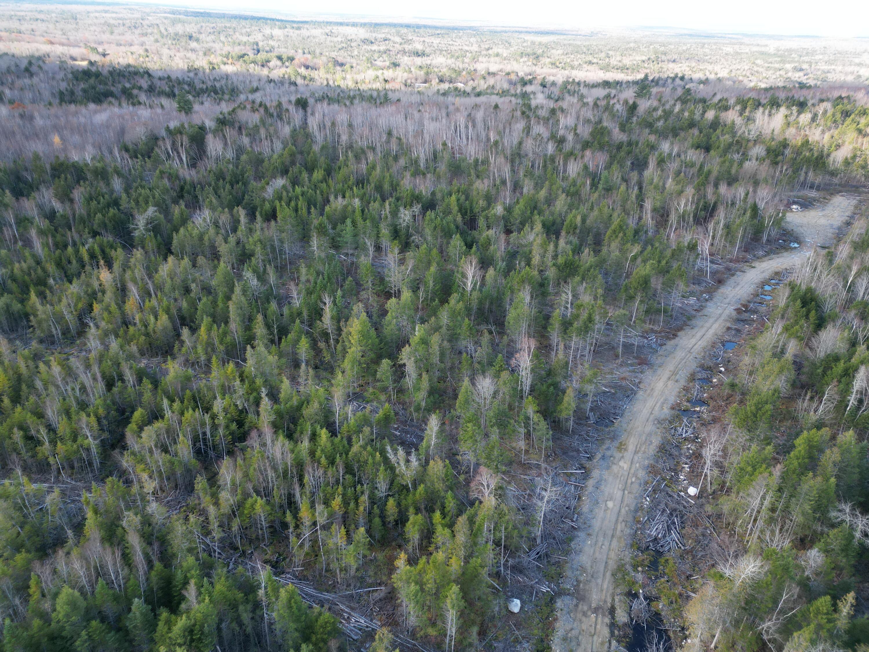 Off Medway Road Mattawamkeag, ME 04459 - Photo 4 of 21 DJI_0260