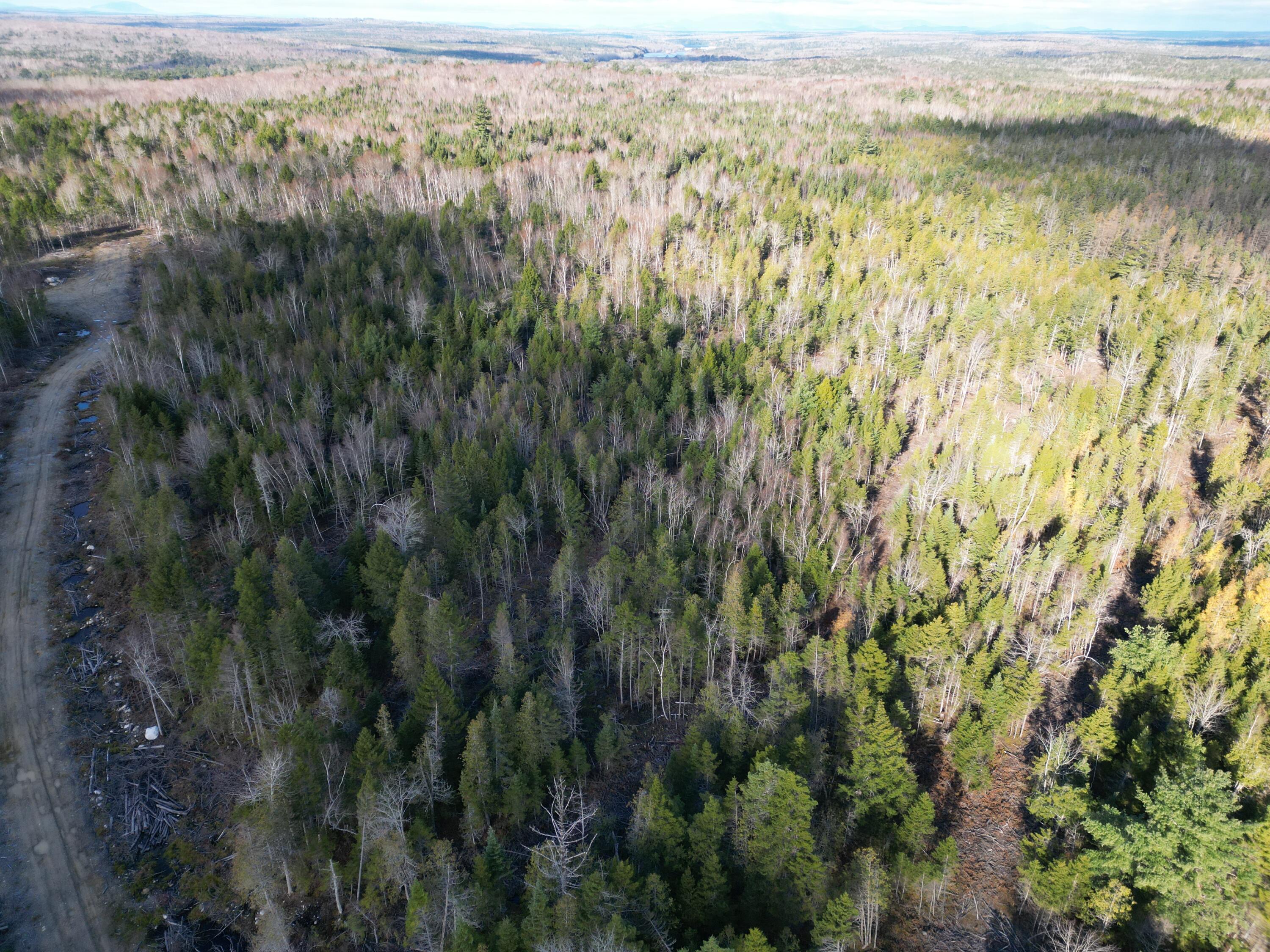 Off Medway Road Mattawamkeag, ME 04459 - Photo 5 of 21 DJI_0261
