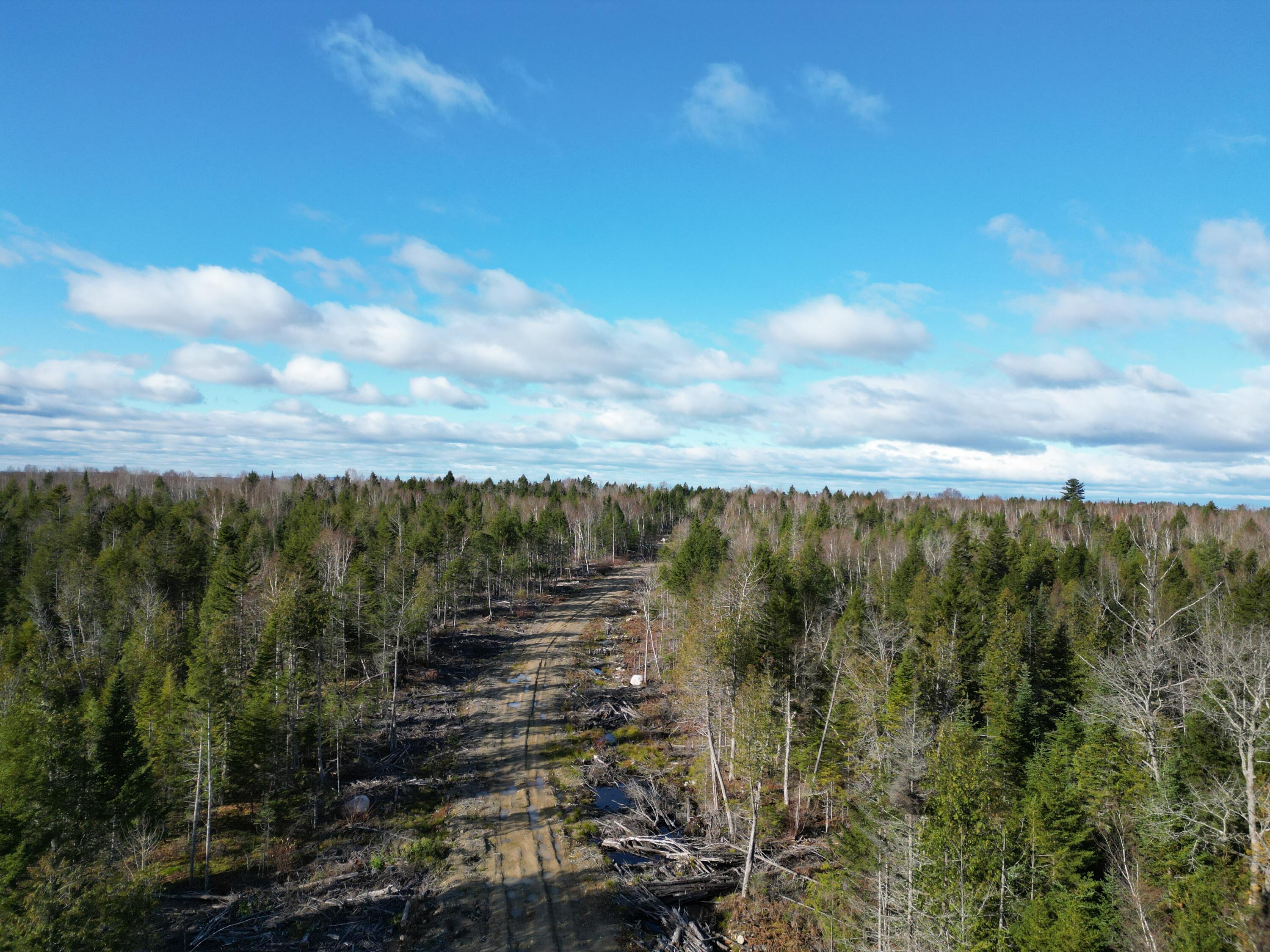 Off Medway Road Mattawamkeag, ME 04459 - Photo 6 of 21 DJI_0262
