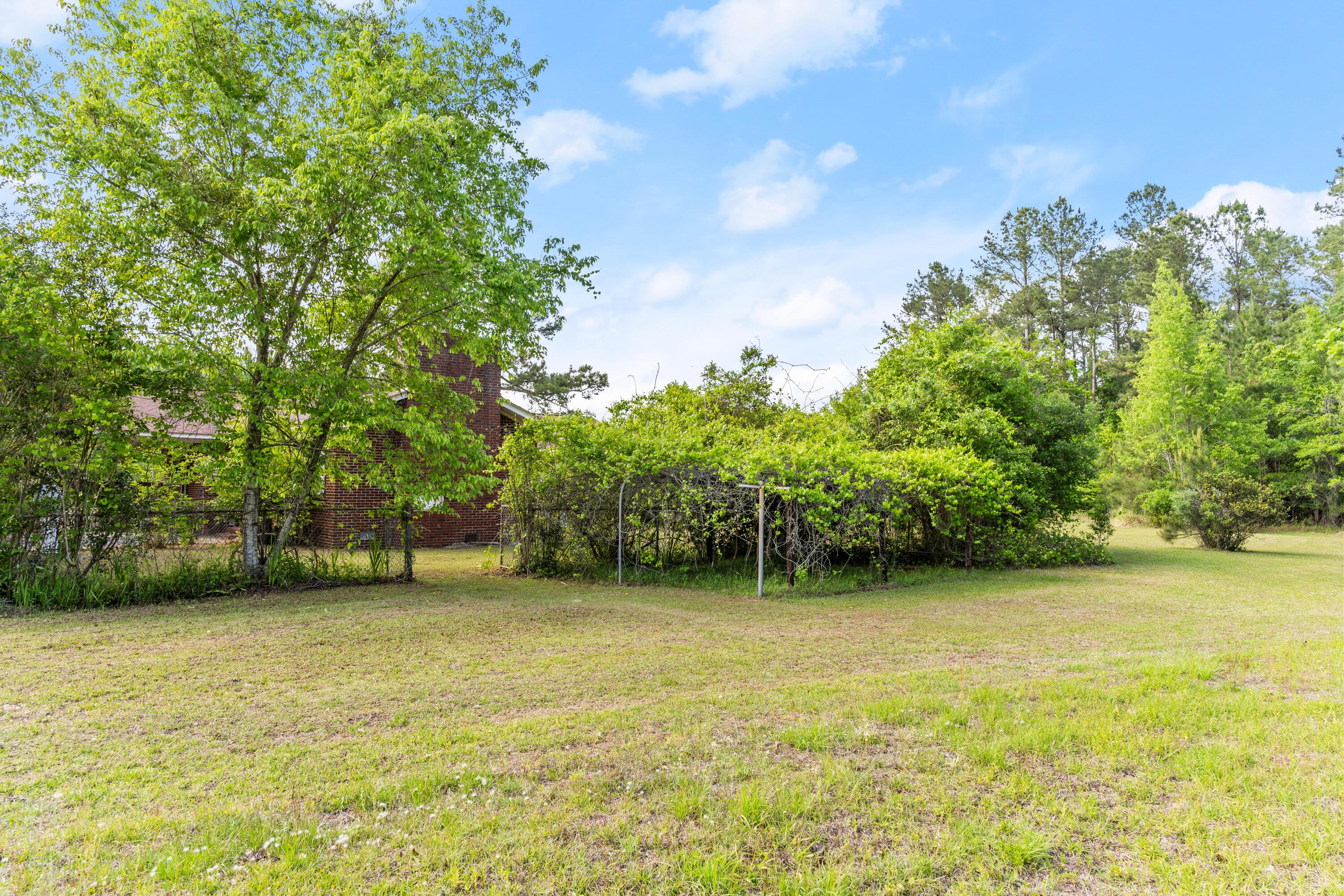 9995 Lodge Highway Lodge, SC 29082 - Photo 4 of 19 DSC06618