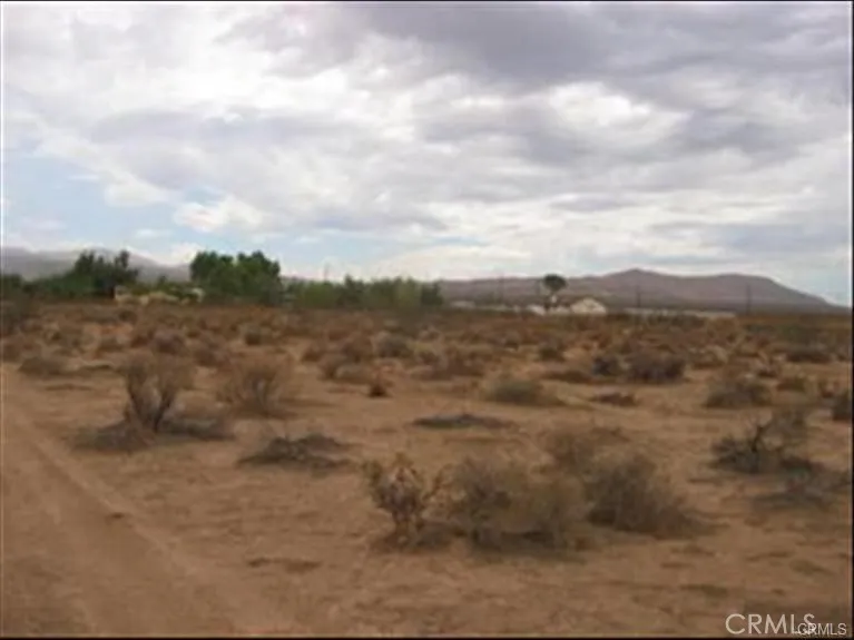 a view of a dry space with lots of trees