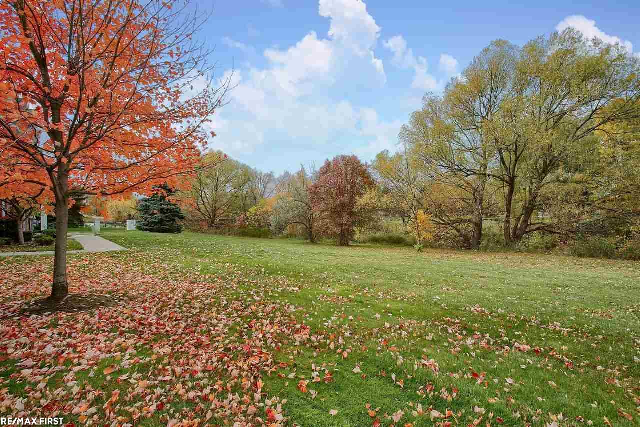 46003 Rhodes Drive Macomb, MI 48044 - Photo 22 of 26