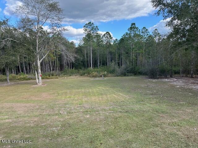 21495 McDowell Road Saucier, MS 39574 - Photo 7 of 23 REAR 1