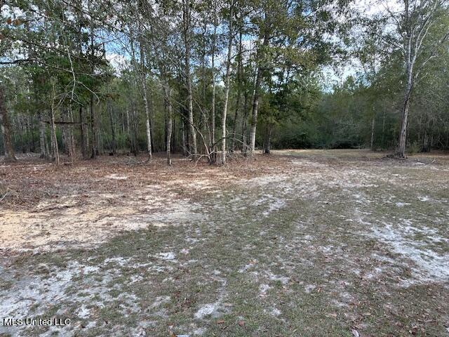 21495 McDowell Road Saucier, MS 39574 - Photo 8 of 23 PROPERTY SIDE